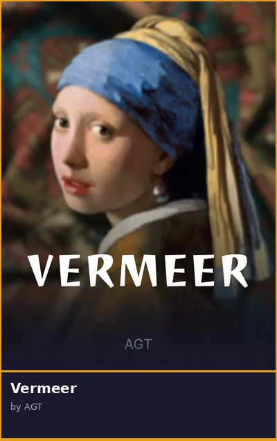 Vermeer slot