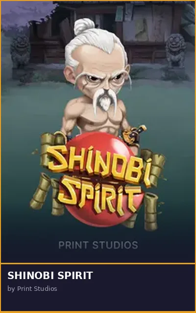 SHINOBI SPIRIT slot
